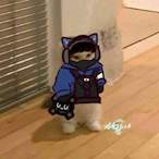 kitten_worm's Avatar'