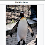 Justin65543211's Avatar'