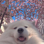 blitzr_'s Avatar'