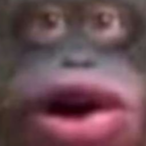 McDankface.'s Avatar'