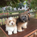 elo-ta1ken-'s Avatar'