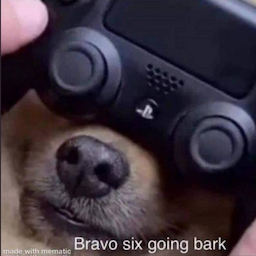 Neeeex