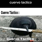 Dakureza's Avatar'