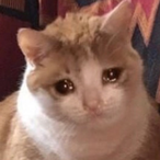 CA7MAN247's Avatar'