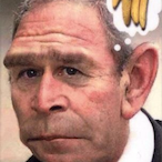 popin a perk's Avatar'