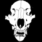 AfterSnack's Avatar'