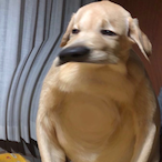 Lima_3108's Avatar'