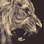 Meinuzi's Avatar'