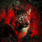 TheWolfeTTV's Avatar'