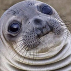 temp-509746067's Avatar'