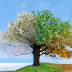 BallerHamster's Avatar'