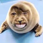 Albersthings's Avatar'