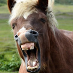 Luuk__vdb1's Avatar'