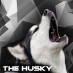 SlovenianHusky's Avatar