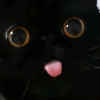 Megan_Ski.KEYE's Avatar'