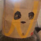 Gradorin_'s Avatar'