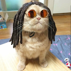 peacktigerking's Avatar'