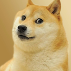 Hi_Doge's Avatar'