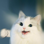 Mo_o_Min's Avatar'