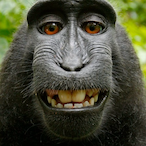 Anita_Hanjabb's Avatar'