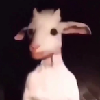 Iuvzky's Avatar'