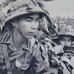 Solid-Lynxcat's Avatar'