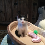 ethan52075's Avatar'