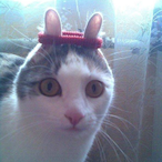 Swungbyfletchy's Avatar'