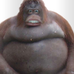 HelionSalvo's Avatar'