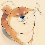 Xiao.chaiquan's Avatar'