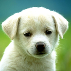 SliderFails's Avatar