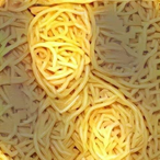 xXBalebXx's Avatar'