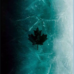 CrazyDoC-_-'s Avatar'