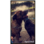 Disturbed.M's Avatar'