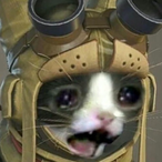 RoyalRainboos's Avatar