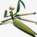 NAUTX's Avatar'
