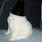 Kopori_'s Avatar'