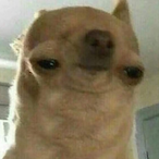 NoblyGobly's Avatar'