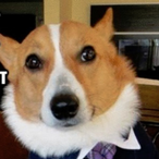 freshofdaboat420's Avatar'