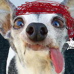 R3kt_-8's Avatar'