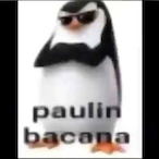 zFlame1-_'s Avatar'