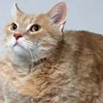 NineBeersDeepSM's Avatar'