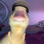 Polish_Guy's Avatar'