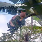 Rosette.Nebula's Avatar