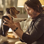JohnWicksDog9's Avatar'