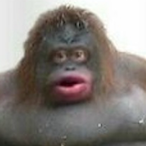 RemovingSumo360's Avatar'