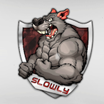 SL0WLY16's Avatar'