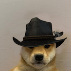 D00FUS-.'s Avatar'