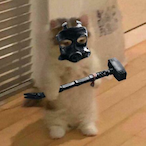 qZRO_'s Avatar'