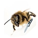 BeeLord.BM2's Avatar'